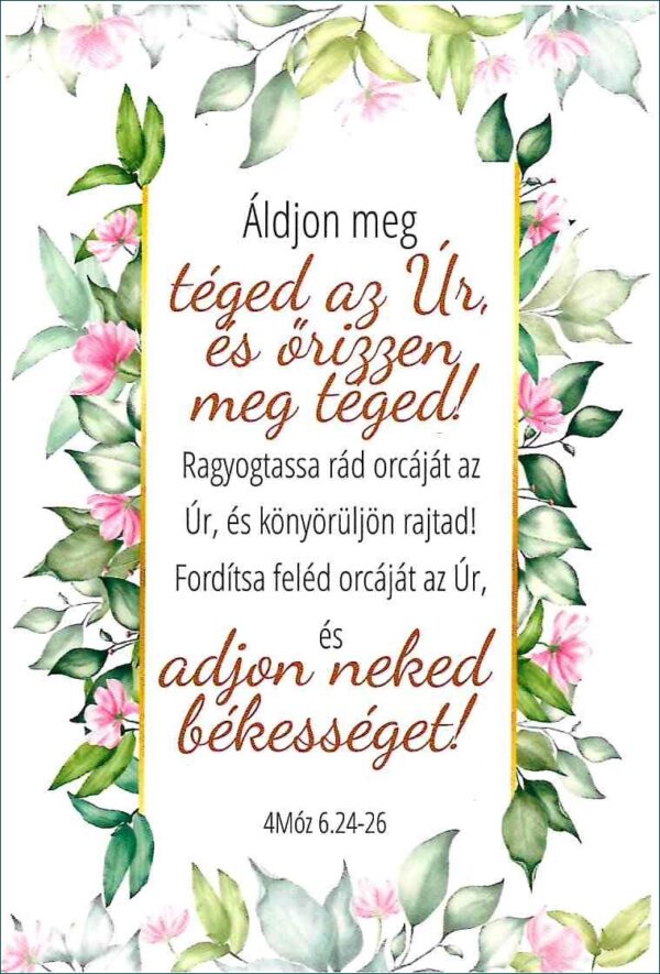 Képeslap / Good-News üdvözlő nyitott - Image 2